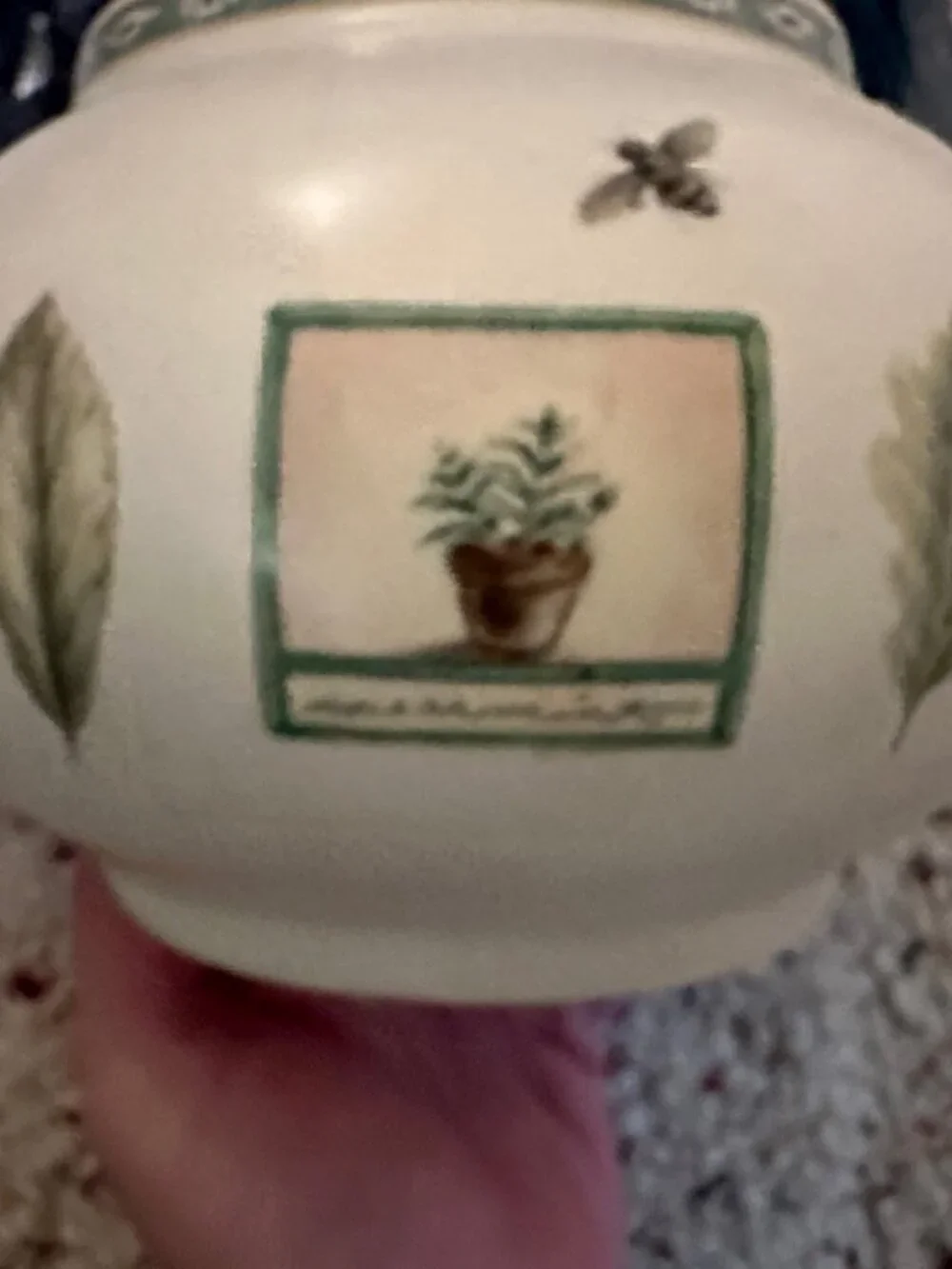 Pfaltzgraff mint no